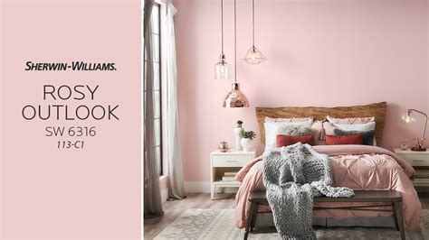 sherwin williams rosy outlook color